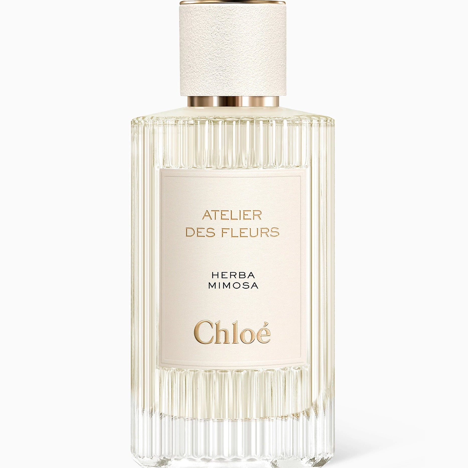 Chloé Atelier des Fleurs Herba Mimosa Eau De Parfum 150ML luxury floral green perfume with mimosa available online in Doha Qatar at Fantasy Centre