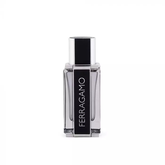 Salvatore Ferragamo Ferragamo EDT 100ML